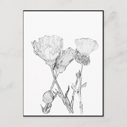 Postkarte - Blume in Farbe (Vorderseite)