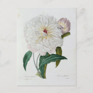 Postkarte Blumen 10