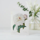 Postkarte Blumen 10 (Stehend Vorderseite)