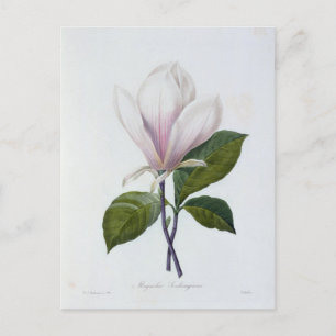 Postkarte Blumen 12
