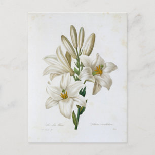 Postkarte Blumen 14