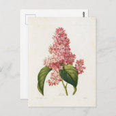 Postkarte Blumen 16 (Vorne/Hinten)