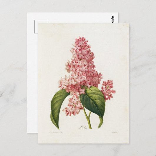 Postkarte Blumen 16 (Vorne/Hinten)