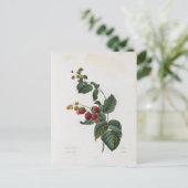 Postkarte Blumen 17 (Stehend Vorderseite)