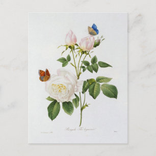 Postkarte Blumen 18