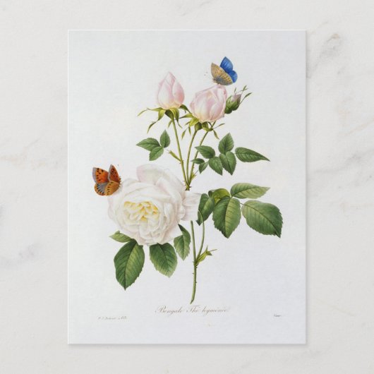 Postkarte Blumen 18 (Vorderseite)