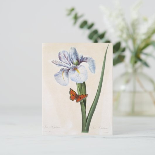 Postkarte Blumen 8 (Stehend Vorderseite)