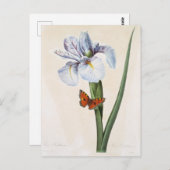 Postkarte Blumen 8 (Vorne/Hinten)