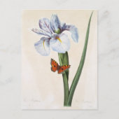 Postkarte Blumen 8 (Vorderseite)