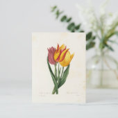 Postkarte Blumen 9 (Stehend Vorderseite)
