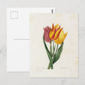 Postkarte Blumen 9 (Vorne/Hinten)
