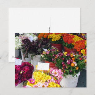 Postkarte – Blumenmarkt