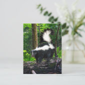 Postkarte "Bomba" (Stehend Vorderseite)