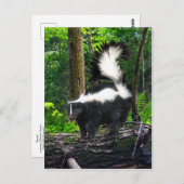 Postkarte "Bomba" (Vorne/Hinten)