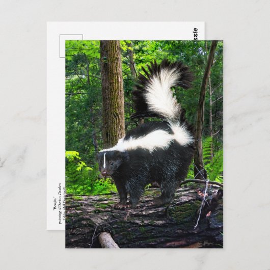 Postkarte "Bomba" (Vorne/Hinten)