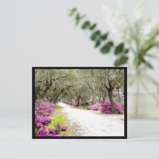 Postkarte - Bonaventure Azaleas (Stehend Vorderseite)