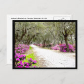 Postkarte - Bonaventure Azaleas (Vorne/Hinten)