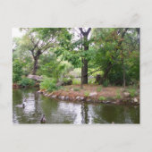 Postkarte Bronx Zoo (Vorderseite)