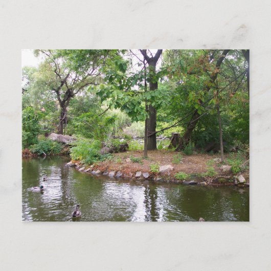 Postkarte Bronx Zoo (Vorderseite)