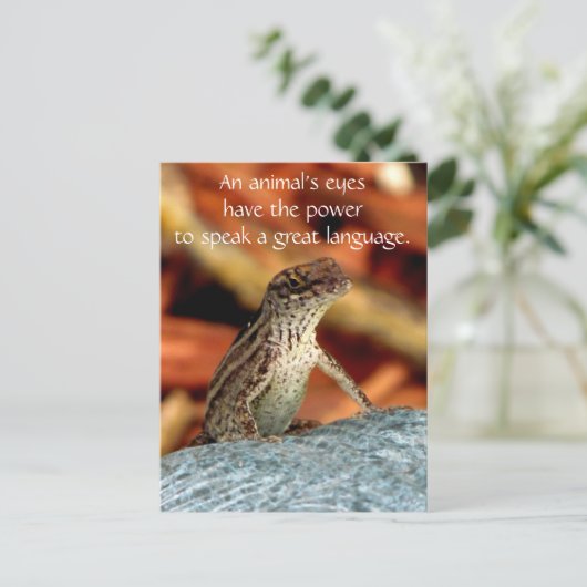 Postkarte Browns Anole (Eidechse) (Stehend Vorderseite)