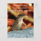 Postkarte Browns Anole (Eidechse) (Vorderseite)