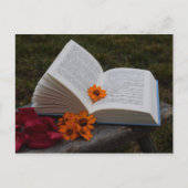 Postkarte buchen (Vorderseite)