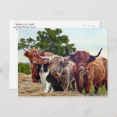 Postkarte "Buckeroo & Friends" (Vorne/Hinten)