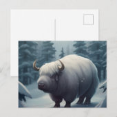 Postkarte Bufalo (Vorne/Hinten)