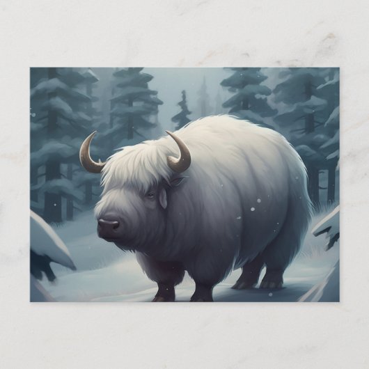 Postkarte Bufalo (Vorderseite)