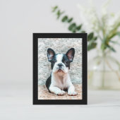 Postkarte "Bulldog" (Stehend Vorderseite)