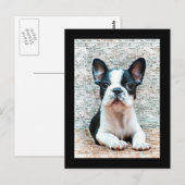 Postkarte "Bulldog" (Vorne/Hinten)