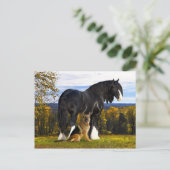 Postkarte "Butch and Blackbird" (Stehend Vorderseite)