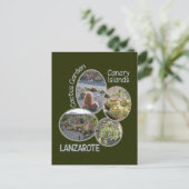 Postkarte Cactus Garden (Stehend Vorderseite)