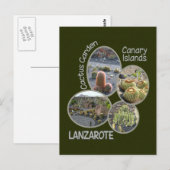 Postkarte Cactus Garden (Vorne/Hinten)