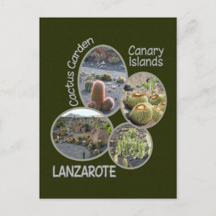 Postkarte Cactus Garden