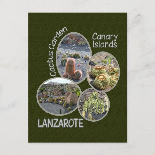 Postkarte Cactus Garden (Vorderseite)