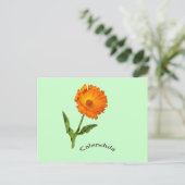 Postkarte - Calendula mit Etikett (Stehend Vorderseite)