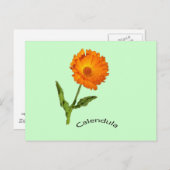 Postkarte - Calendula mit Etikett (Vorne/Hinten)