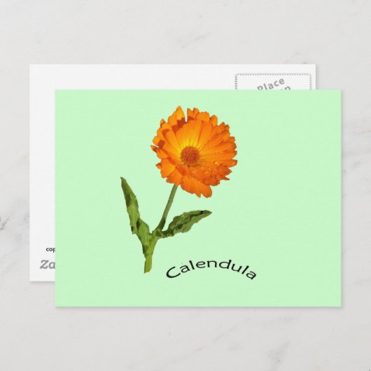 Postkarte - Calendula mit Etikett (Vorne/Hinten)