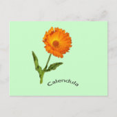 Postkarte - Calendula mit Etikett (Vorderseite)