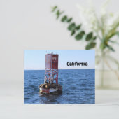 Postkarte California Sea Lion (Stehend Vorderseite)