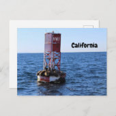Postkarte California Sea Lion (Vorne/Hinten)