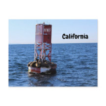 Postkarte California Sea Lion