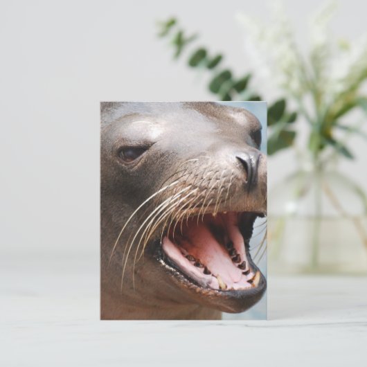 Postkarte California Sea Lion (Stehend Vorderseite)