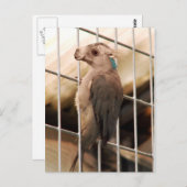 Postkarte Camkeet (Vorne/Hinten)