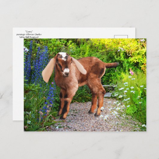 Postkarte "Casey" (Vorne/Hinten)