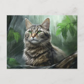 Postkarte Chat Foret 3 (Vorderseite)