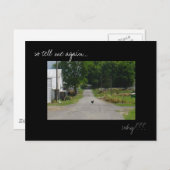 Postkarte "Chicken Crossing Road" Foto (Vorne/Hinten)