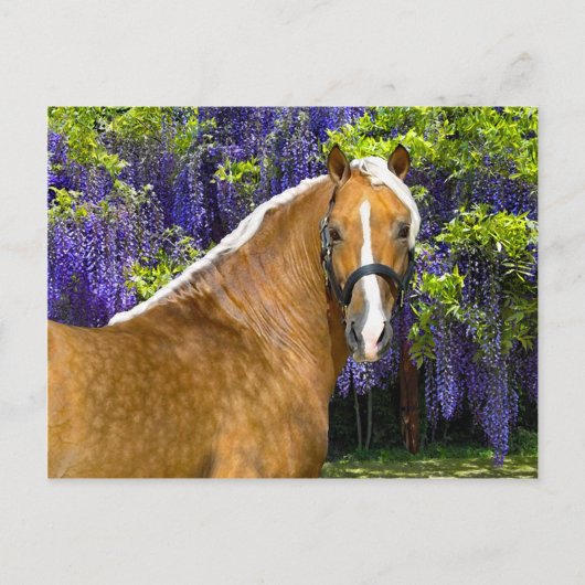 Postkarte "Chieftain" (Vorderseite)