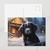 Postkarte Chien 1-20 (Vorne/Hinten)